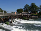 Abingdon Weir